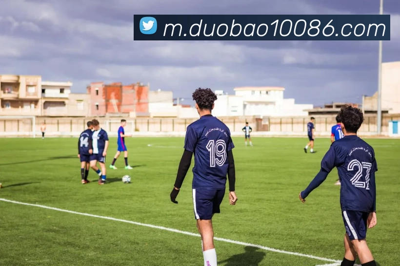 多宝体育平台生态图